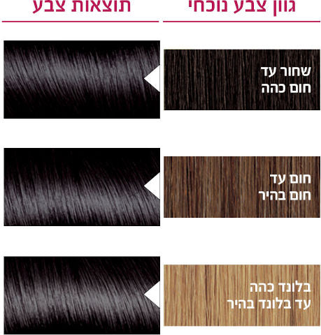 לוריאל צבע שיער קבוע לטיפוח עשיר בגוון 1 שחור LOREAL