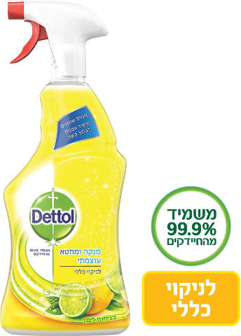 דטול תרסיס לניקוי כללי בניחוח לימוןDETTOLE